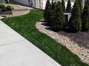 Nick T.'s grass cutting service result