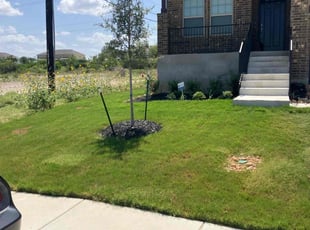 Izora A.'s turf maintenance service result