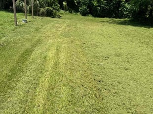 Brenda M.'s grass cutting service result