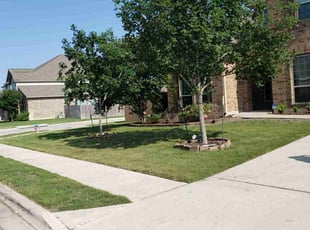 Paige R.'s lawn care services service result