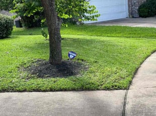 Stephen D.'s lawn service service result