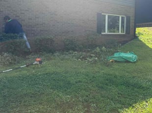 Tameka V.'s Bush Trimming service result