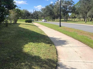 Rodney L.'s Long Grass Cleanup service result