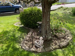 Michael S.'s turf care service result