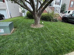 Shawna S.'s turf maintenance service result