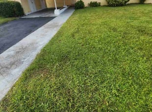 Carliss M.'s grass maintenance service result