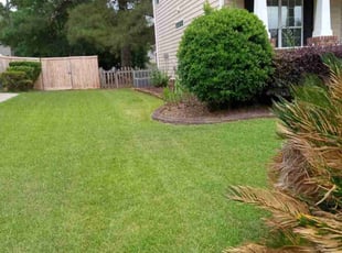 Lewis G.'s grass maintenance service result