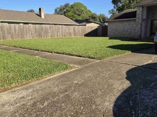 Arpit P.'s turf care service result