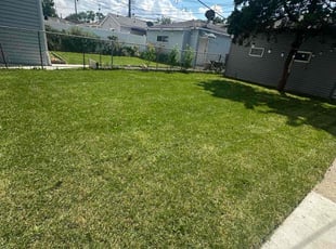 Shrinivas B.'s lawn maintenance service result