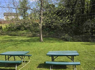 Chad S.'s grass cutting service result