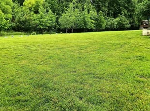 Justin A.'s turf care service result