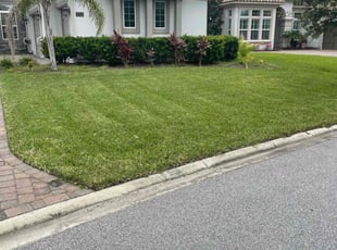 Whitney E.'s lawn service service result