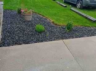 Michele C.'s turf care service result