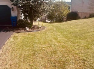 James J.'s grass cutting service result
