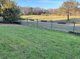 Tanja H.'s lawn maintenance service result