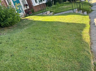 Latisha B.'s lawn care services service result