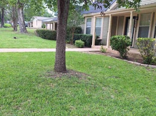 Sharon J.'s turf care service result
