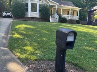Denise M.'s lawn care service result