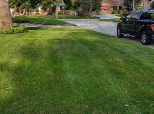 Kristen F.'s lawn maintenance service result