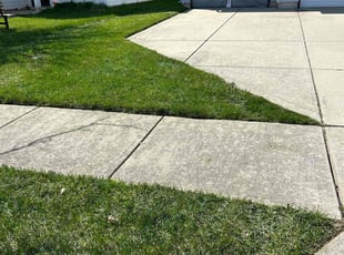 Leslie H.'s grass cutting service result