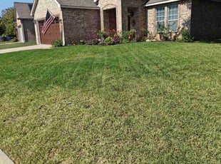 Christina D.'s grass cutting service result
