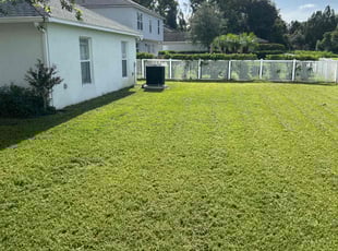 Kim U.'s turf care service result