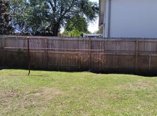 Lisa P.'s Bush Trimming service result