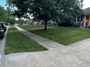 Robert W.'s yard service service result