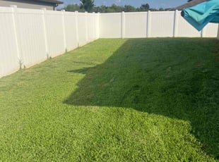 Denise B.'s turf maintenance service result