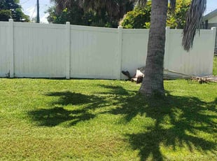 Jane R.'s grass cutting service result