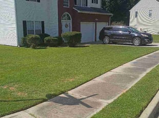 Vivan S.'s grass cutting service result