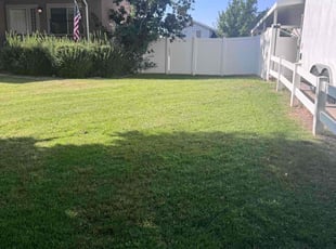 Boris F.'s turf maintenance service result