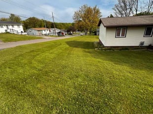 Ashley T.'s lawn service service result