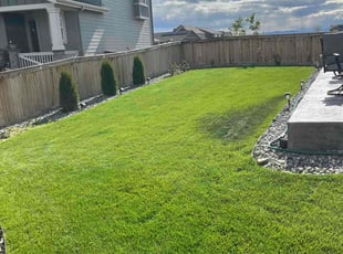 Tim H.'s lawn service service result