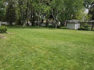 G B.'s grass maintenance service result