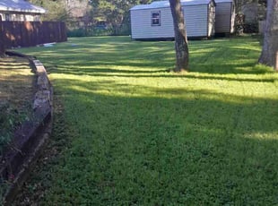 Christopher C.'s grass cutting service result