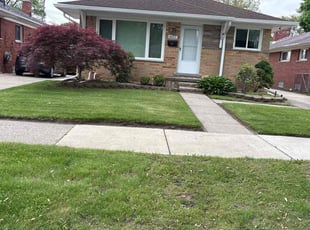 Taylor D.'s Bush Trimming service result