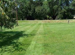 Jp P.'s turf maintenance service result