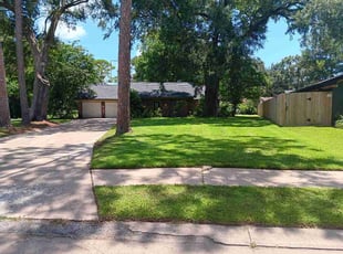 Steve S.'s lawn maintenance service result