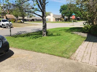 Tammy D.'s grass maintenance service result