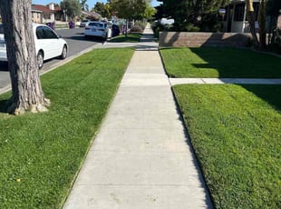 Duane N.'s grass maintenance service result