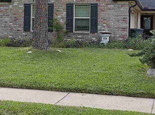 Felix M.'s residential landscaping service result