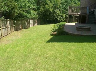 Stacey W.'s turf care service result