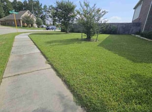 Janis L.'s lawn care services service result