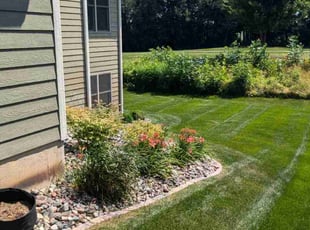 Pushkin A.'s lawn care service result