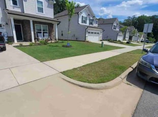 David D.'s turf maintenance service result
