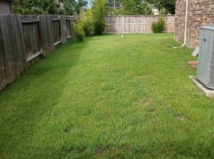 Athena S.'s turf maintenance service result