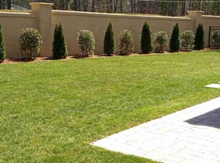 Joan P.'s turf maintenance service result