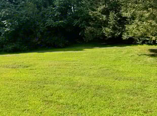 Valencia H.'s lawn service service result