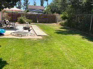 Heidi F.'s turf maintenance service result